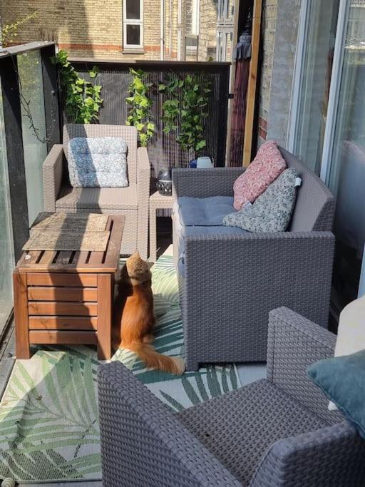 Norrebro Oasis - With 2 Cats - Families Only Lejlighed