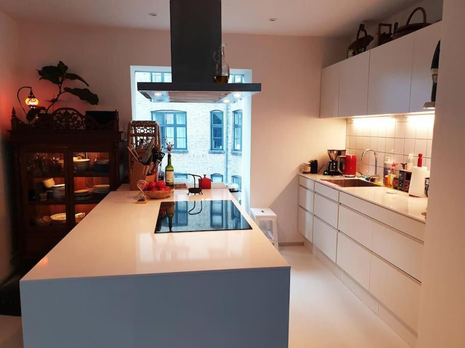 Norrebro Oasis - With 2 Cats - Families Only * København